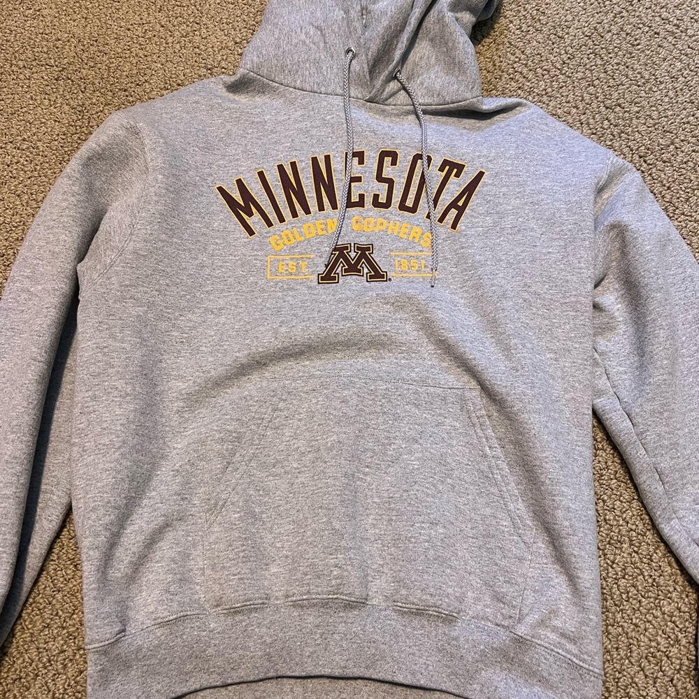 Champion hoodie